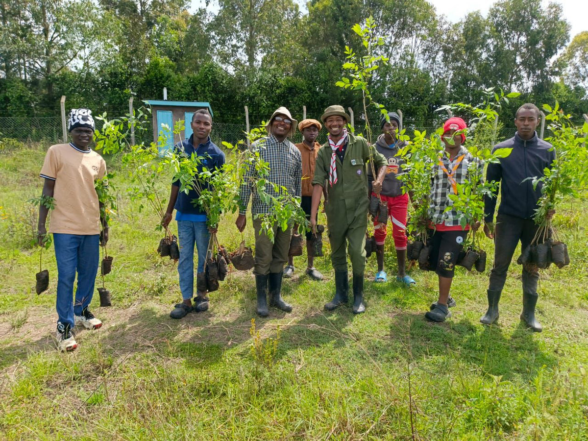 Before the Rains: Building a Watershed Nursery Network
