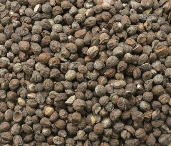 Commiphora boranensis