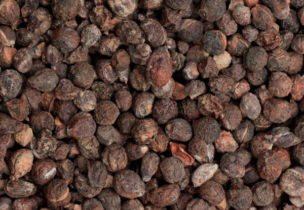 Commiphora ciliata
