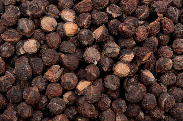 Commiphora confusa