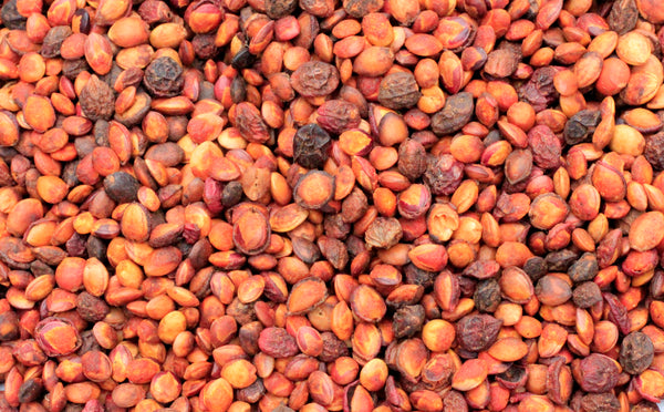 Commiphora dinteri