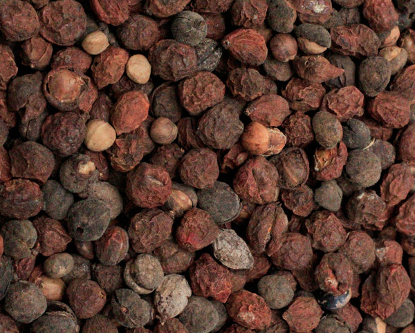 Commiphora hildebrandtii