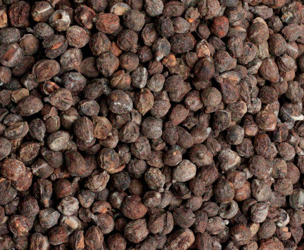 Commiphora kataf