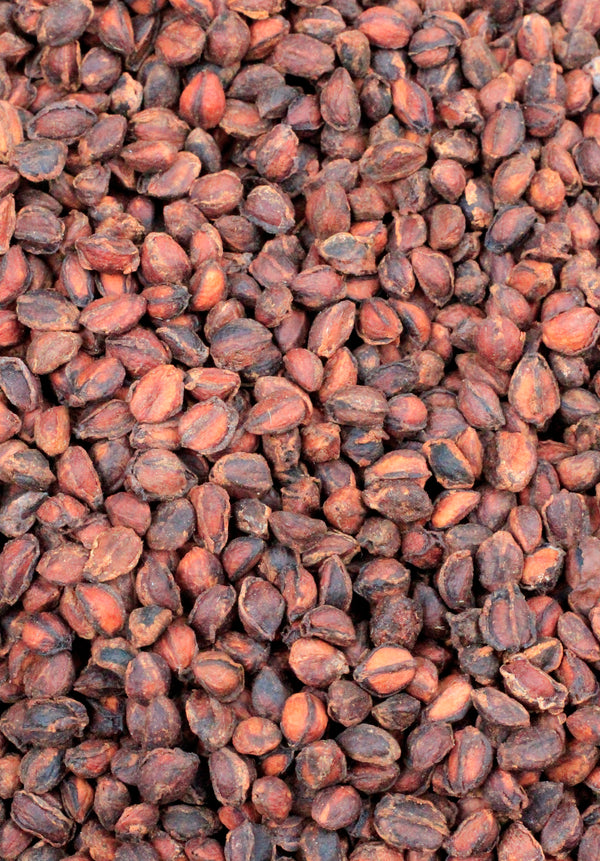 Commiphora kua