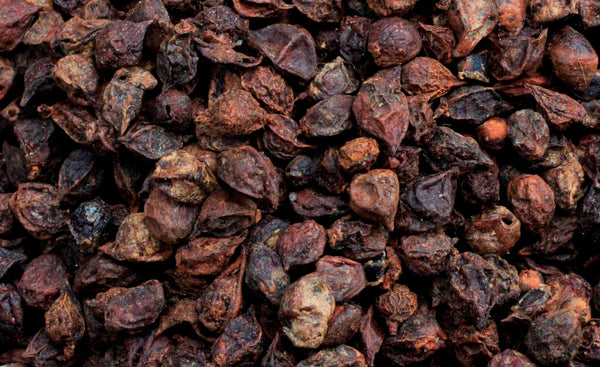 Commiphora paolii
