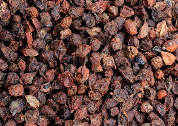 Commiphora pseudopaolii