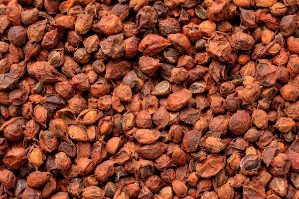 Commiphora schimperi