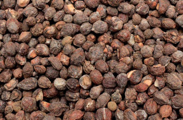 Commiphora sphaerocarpa