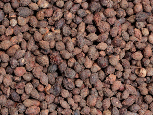 Cyphostemma pachyanthum
