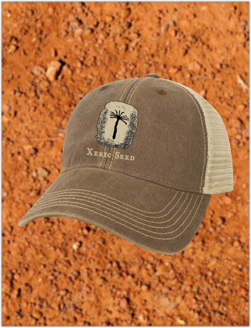 Xeric Seed Cap